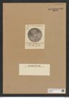 Actinoptychus huettingerianus Tr. et. Witt. (de-Toni-Nr.: Genus 227, Species 5527) Zeichnungen Sammlung Grunow Nr. 9561 (NHMW-BOT-W0379366)